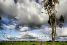 世界杯平台-转会传闻，新闻：曼联领先争夺加拉赫