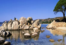 worldcup-股市必读：福龙马（603686）登12月30日交易所龙虎榜